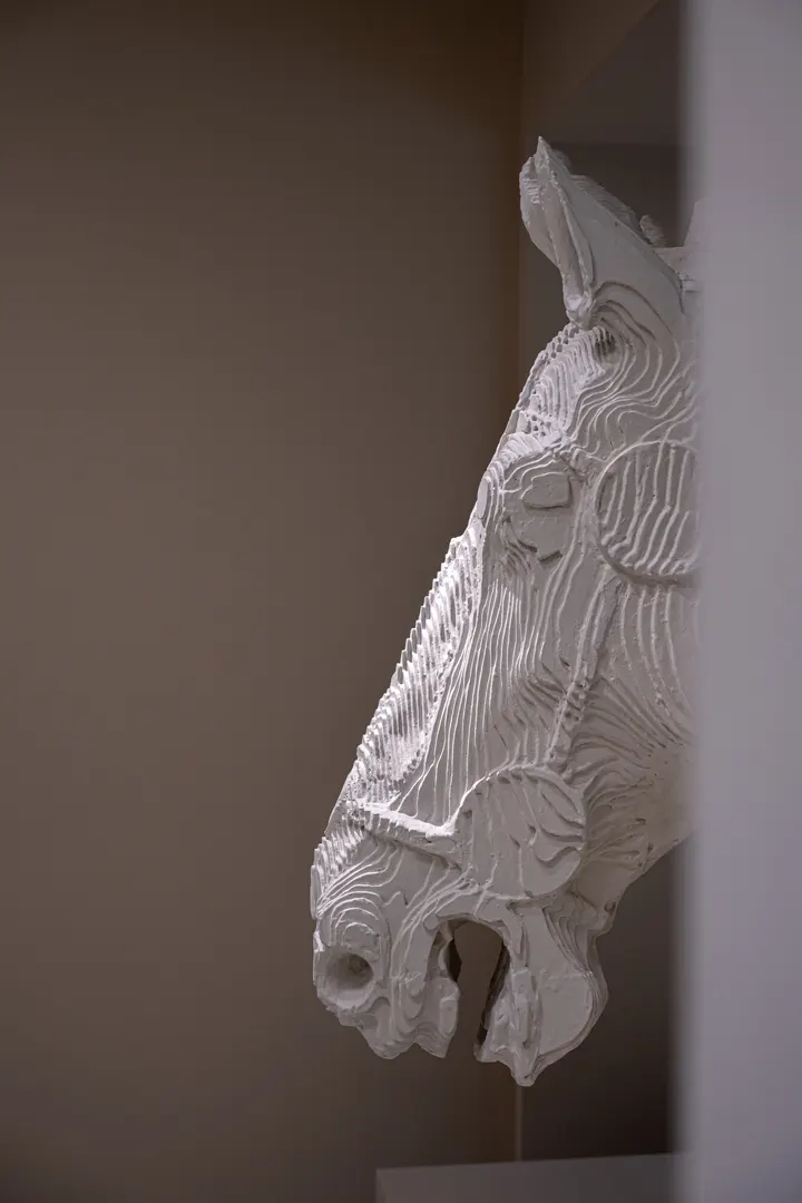 Ingrandimento della testa di cavallo della statua equestre di Marco Aurelio